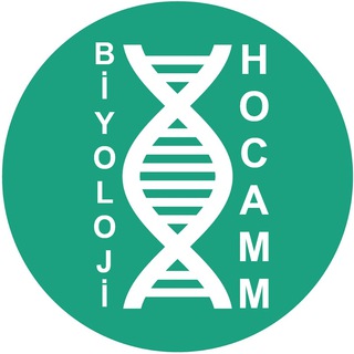 BiyolojiciHocamm